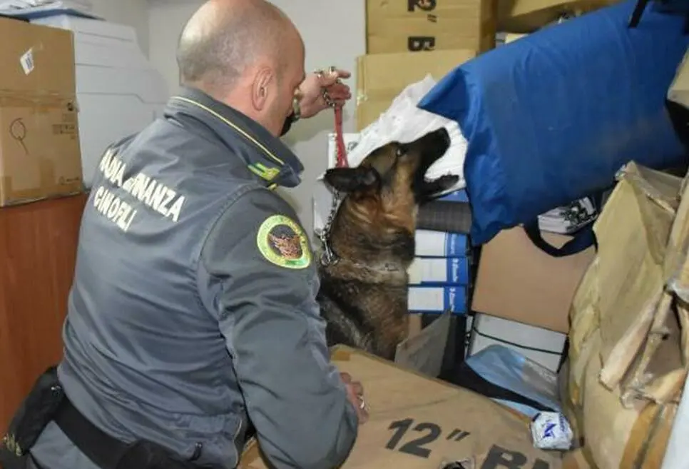 Droga nei pacchi, sequestrati 25 chili