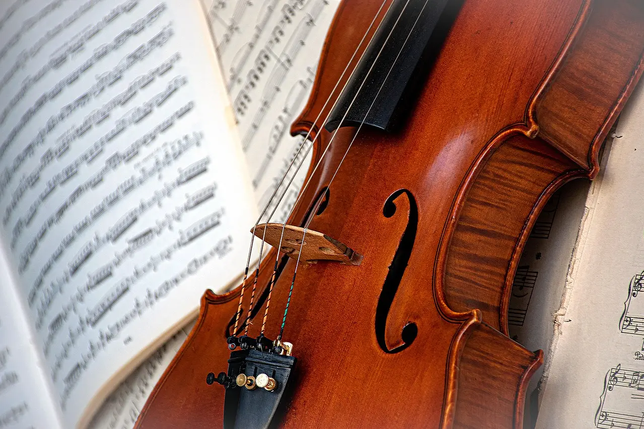 Un violino (foto www,pixabay.com)