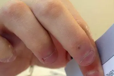 Un elettore al voto per le Primarie