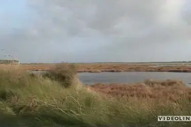 UN FERMO IMMAGINE DEL SERVIZIO DI VIDEOLINA