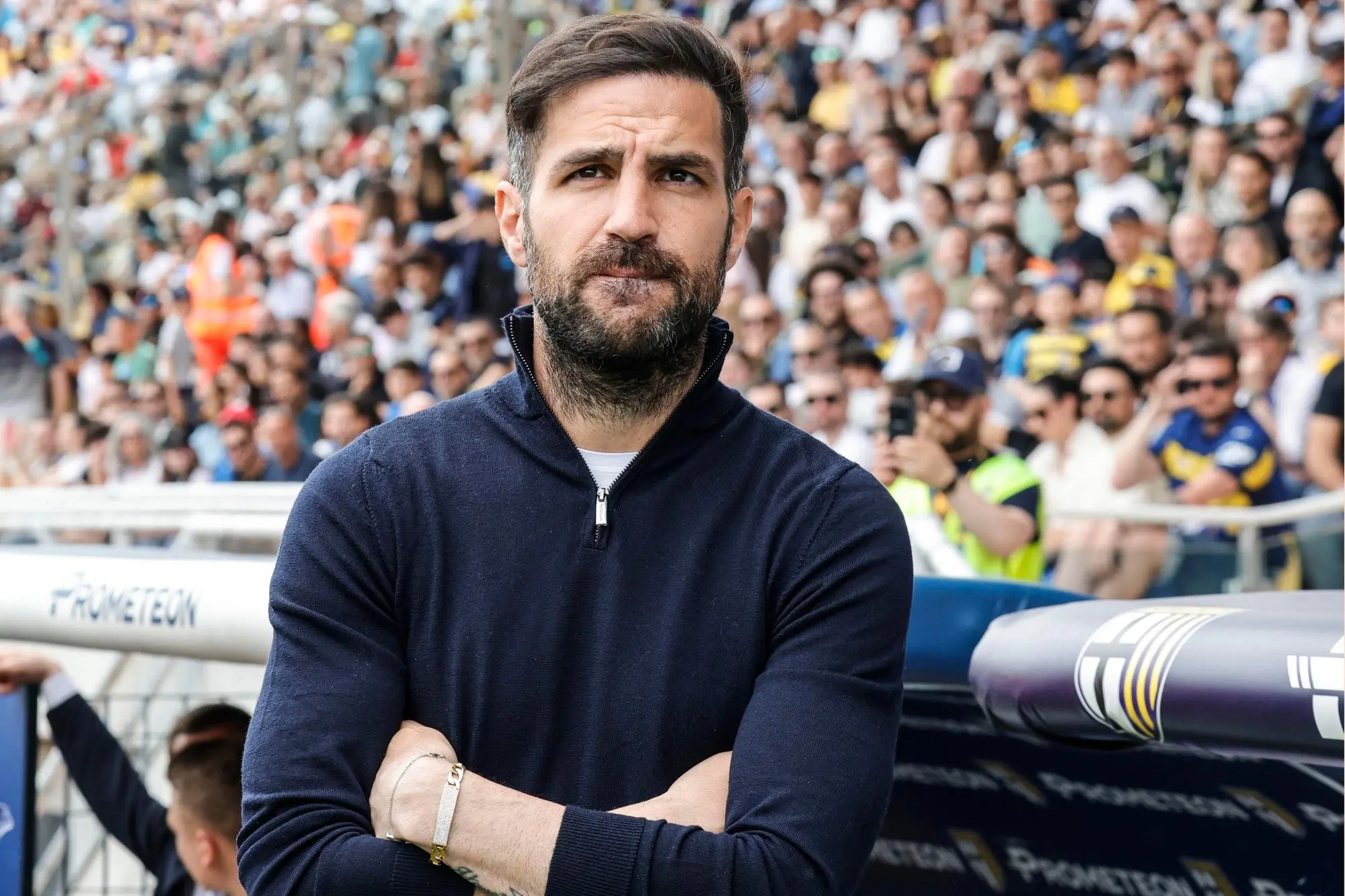 Cesc Fàbregas, allenatore del Como (foto Ansa)