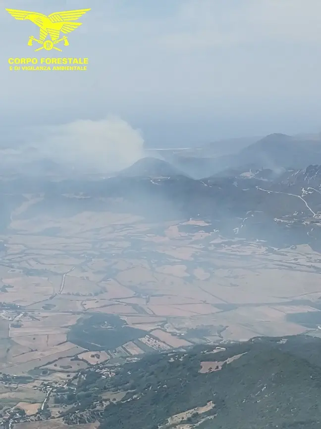La zona dove è divampato l'incendio a Furtei (foto Cfva)
