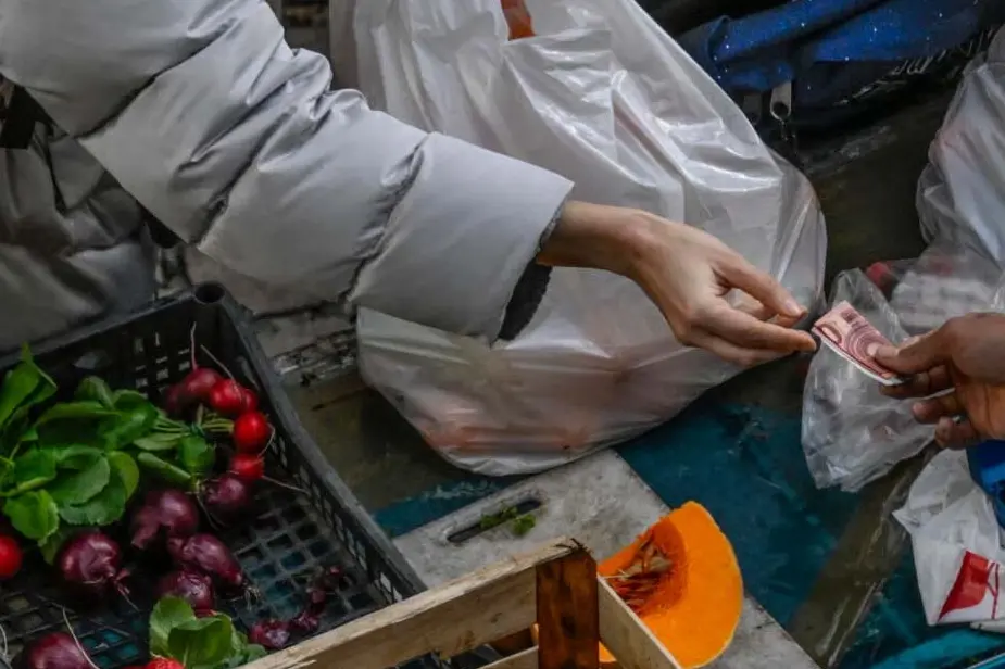Tratte marittime sempre più care: «Costi troppo alti per le imprese, migliaia di posti di lavoro a rischio»