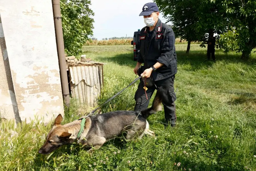 I carabinieri con il cane molecolare vicino alla casa dei cugini di Saman Abbas (Ansa - Baracchi)