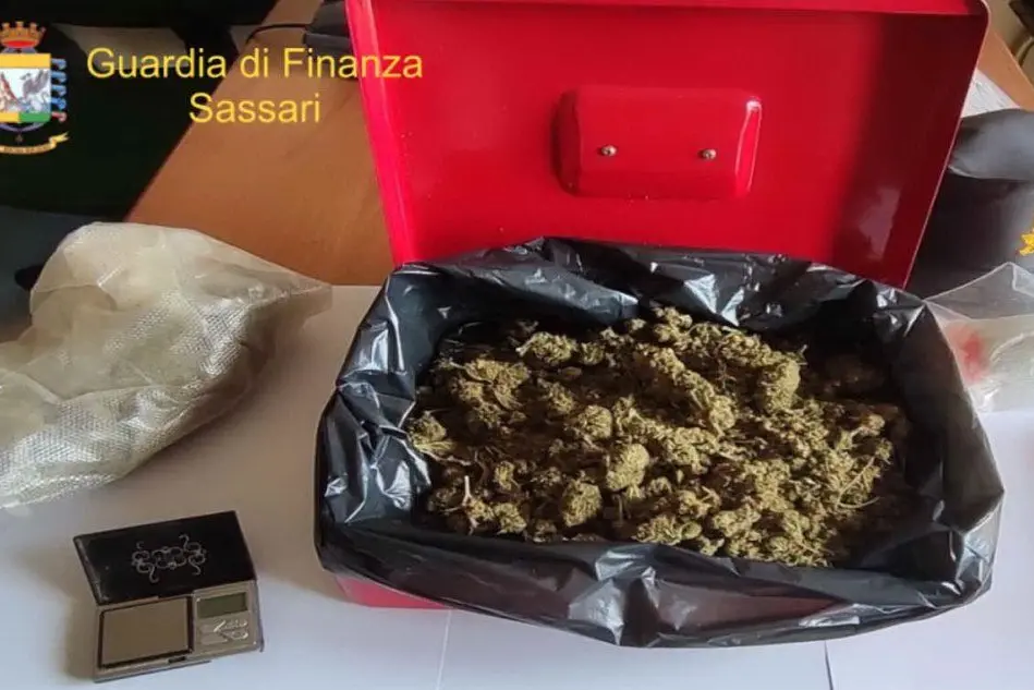 La droga posta sotto sequestro (foto Guardia di finanza di Sassari)