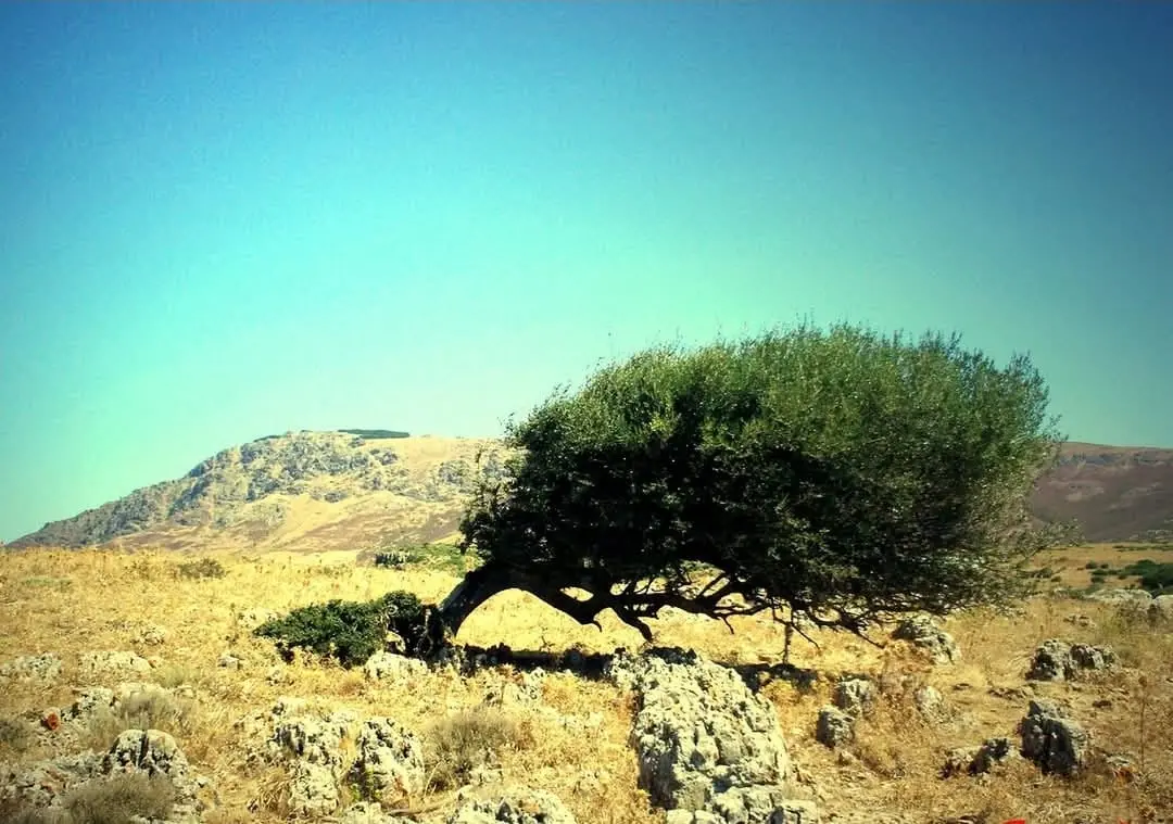 contentid/e05c5f73-b03b-422f-a9af-d1901d26507e