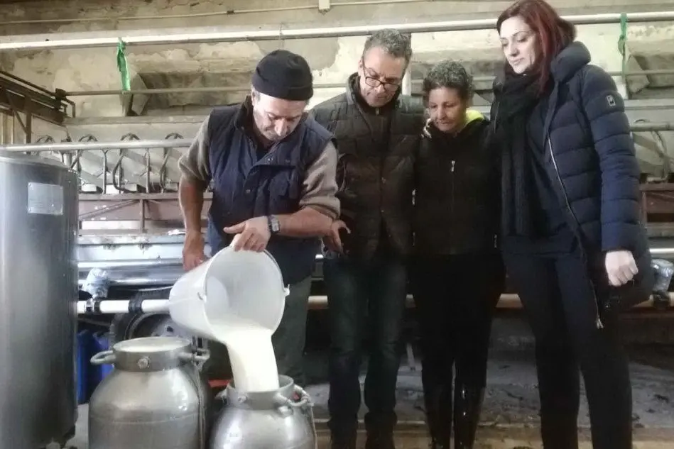 Milena Melis e suo marito, Antonio Spina, donano il latte al direttore de L'Aquilone, Matteo Piga (Foto Lorenzo Ena)