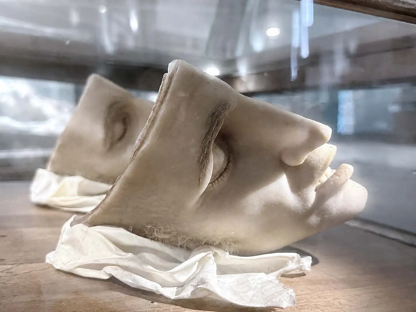 Una delle anatoniche cere di Clemente Susini esposte alla Cittadella dei Musei di Cagliari