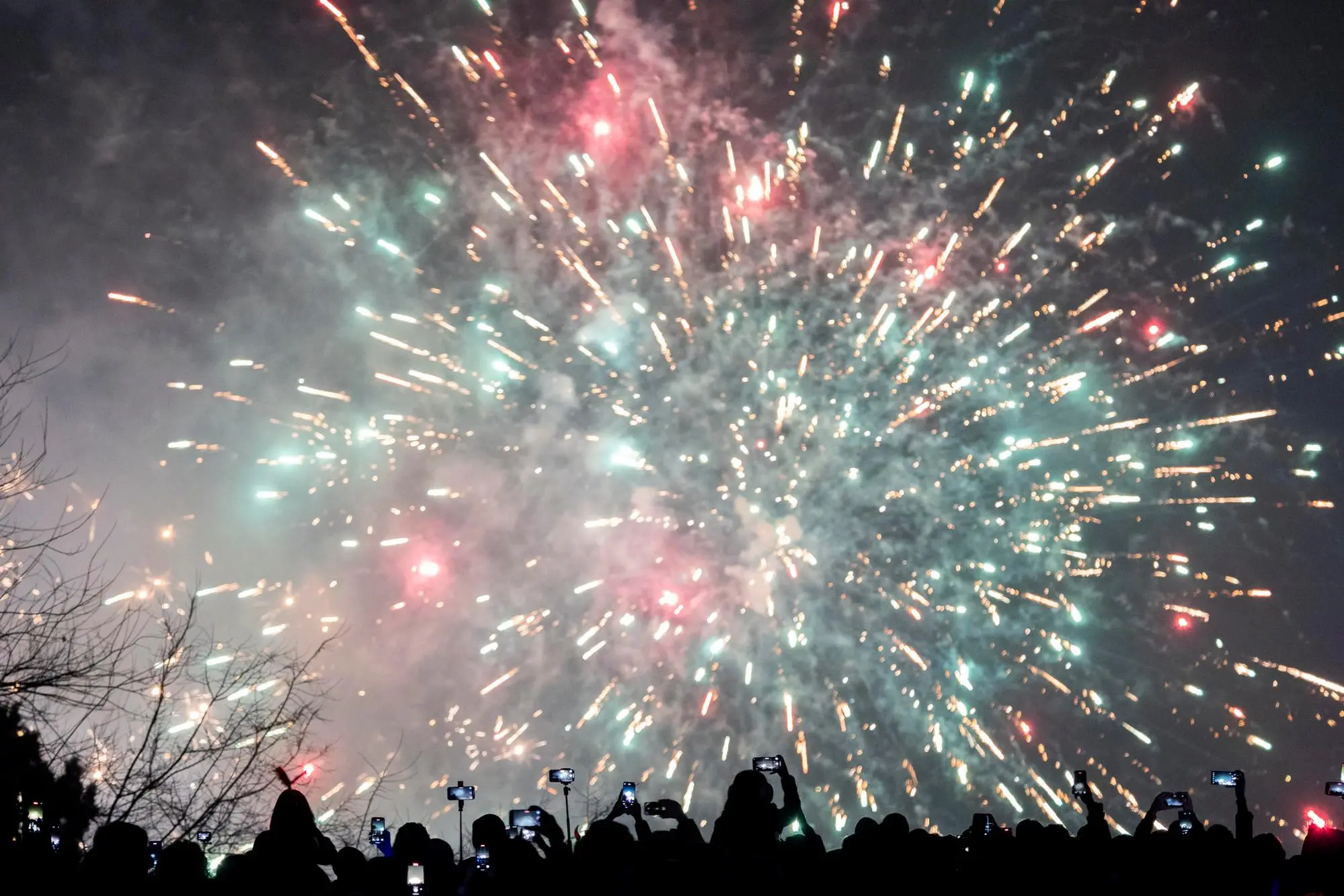 Botti a Capodanno (Ansa)