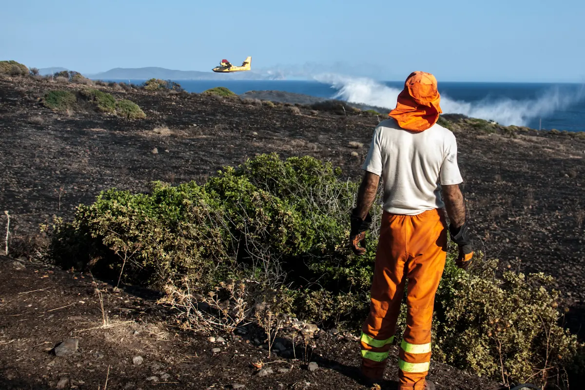 Un incendio in Sardegna