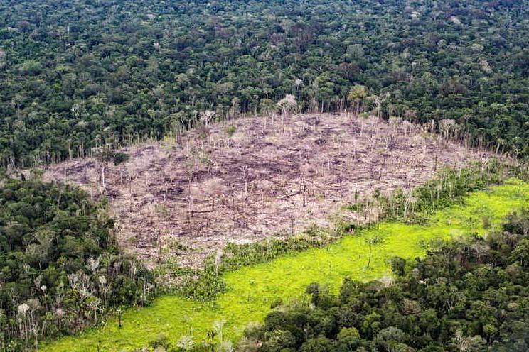 Una zona di foresta amazzonica in pericolo per via dell'attività dell'uomo (Ansa)