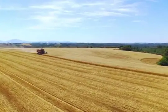 In crisi le rotte delle commodities agro-alimentari