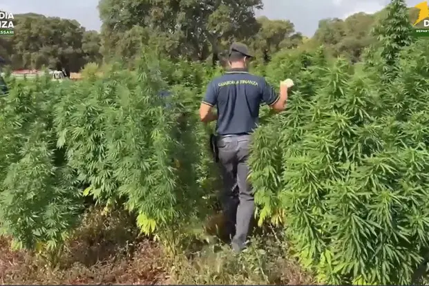 象征性照片（安莎社）