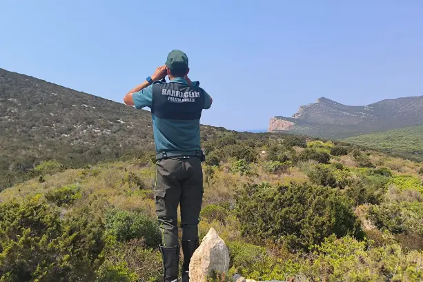 Le ricerche tra la vegetazione di Capo Caccia-Alghero (foto concessa)