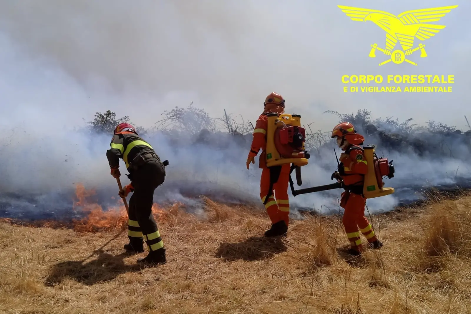 Operazioni di spegnimento di un incendio (foto Corpo forestale)