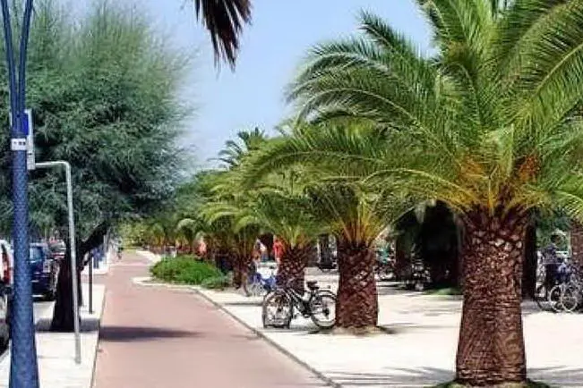 San Benedetto del Tronto (Ansa)