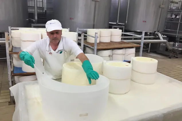 Lavorazione del pecorino Romano