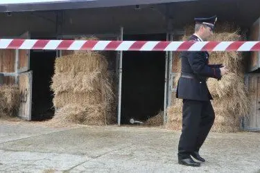 Le scuderie dell'ippodromo Pinna di Sassari. Foto di Gloria Calvi