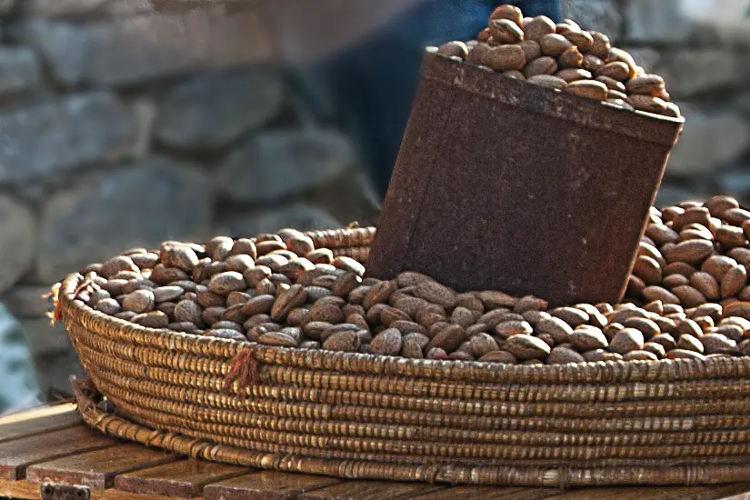 Un'immagine delle mandorle (foto concessa)