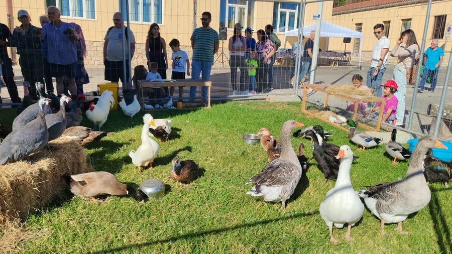 Alguer Family Festival, quartieri in gioco con bimbi e nonni