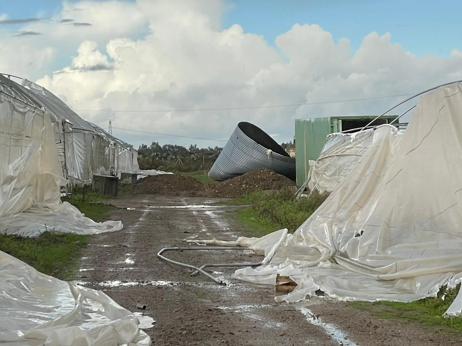 Danni maltempo San Nicolò d'Arcidano (Foto Coldiretti)