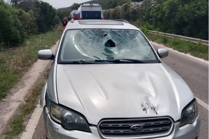 La Subaru che ha travolto il ciclista (foto Pala)