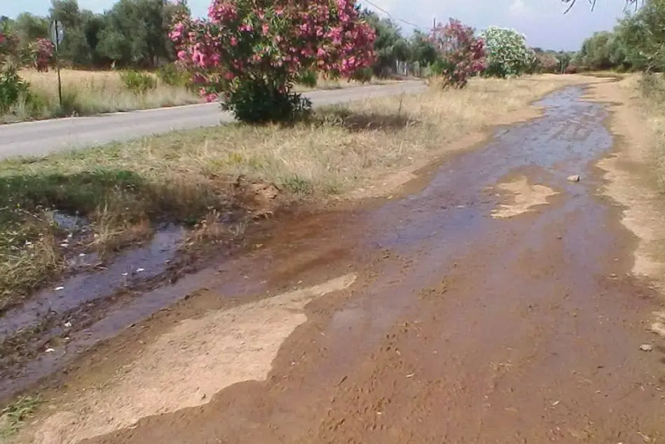 Perdita d' acqua nella strada per Monti Mannu