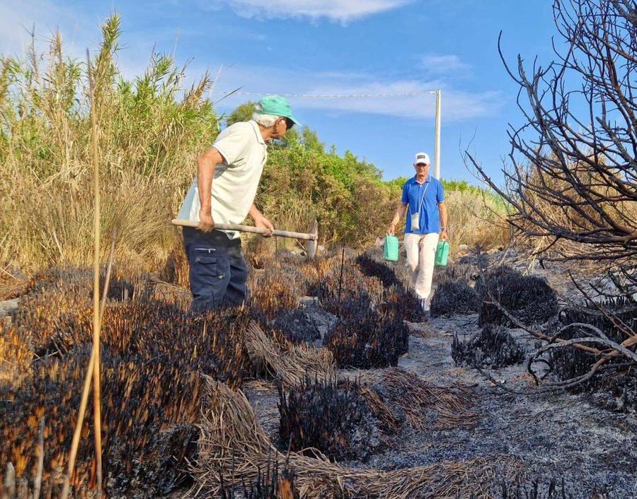Una “colletta” di alberi per far rinascere l’orto