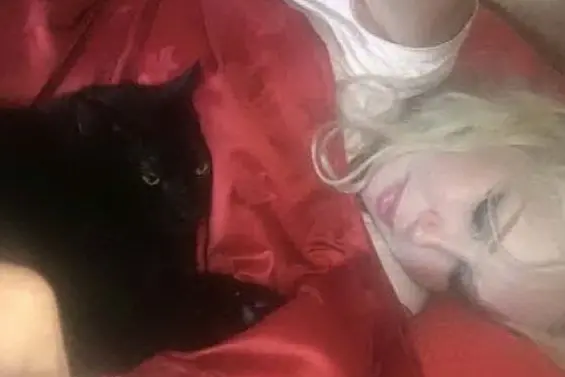 Ivana Spagna con uno dei suoi gattini (foto da Instagram)
