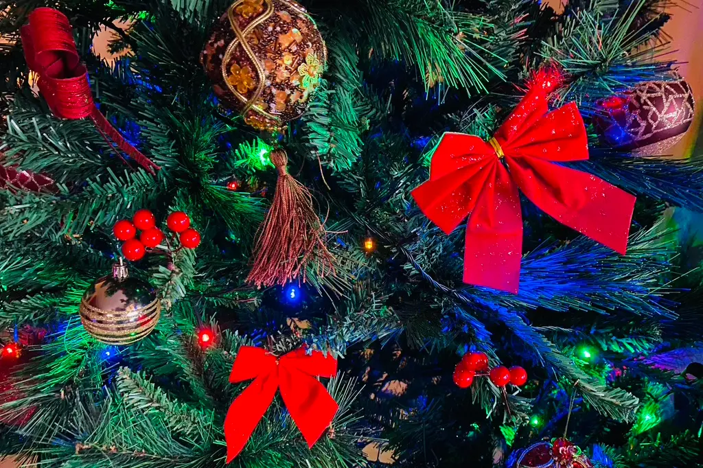 Un albero di Natale (Foto Sara Pinna)