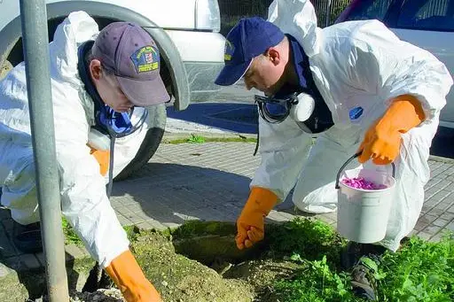 Lotta alle blatte, operai impegnati in una disinfestazione