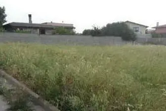 Una delle aree edificabili che i proprietari vorrebbero tornasse agricola