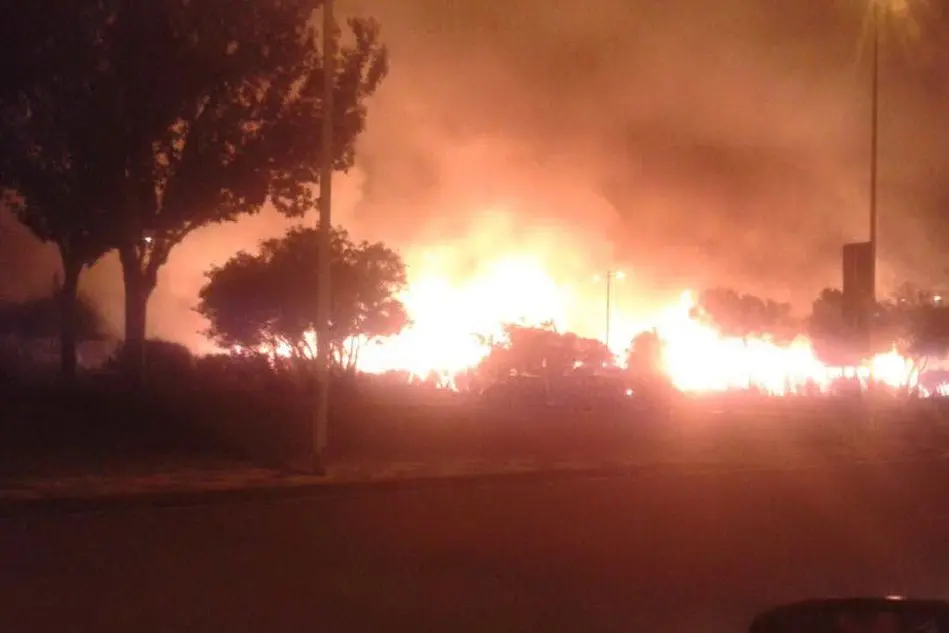 Un recente incendio nel parco di Molentargius