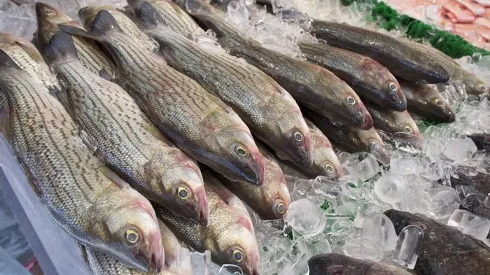 Is frozen fish as good as fresh fish?