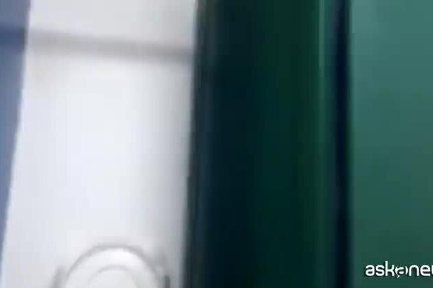 Un puma nei bagni di una scuola elementare, lo trova un bimbo di 9 anni