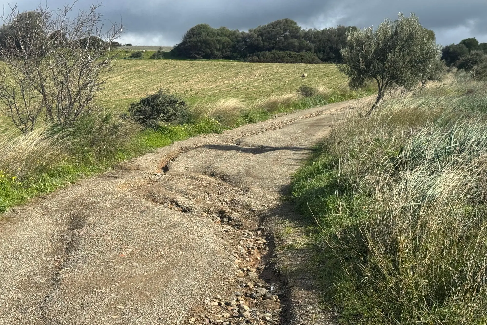 Una strada di campagna devastata dall'alluvione