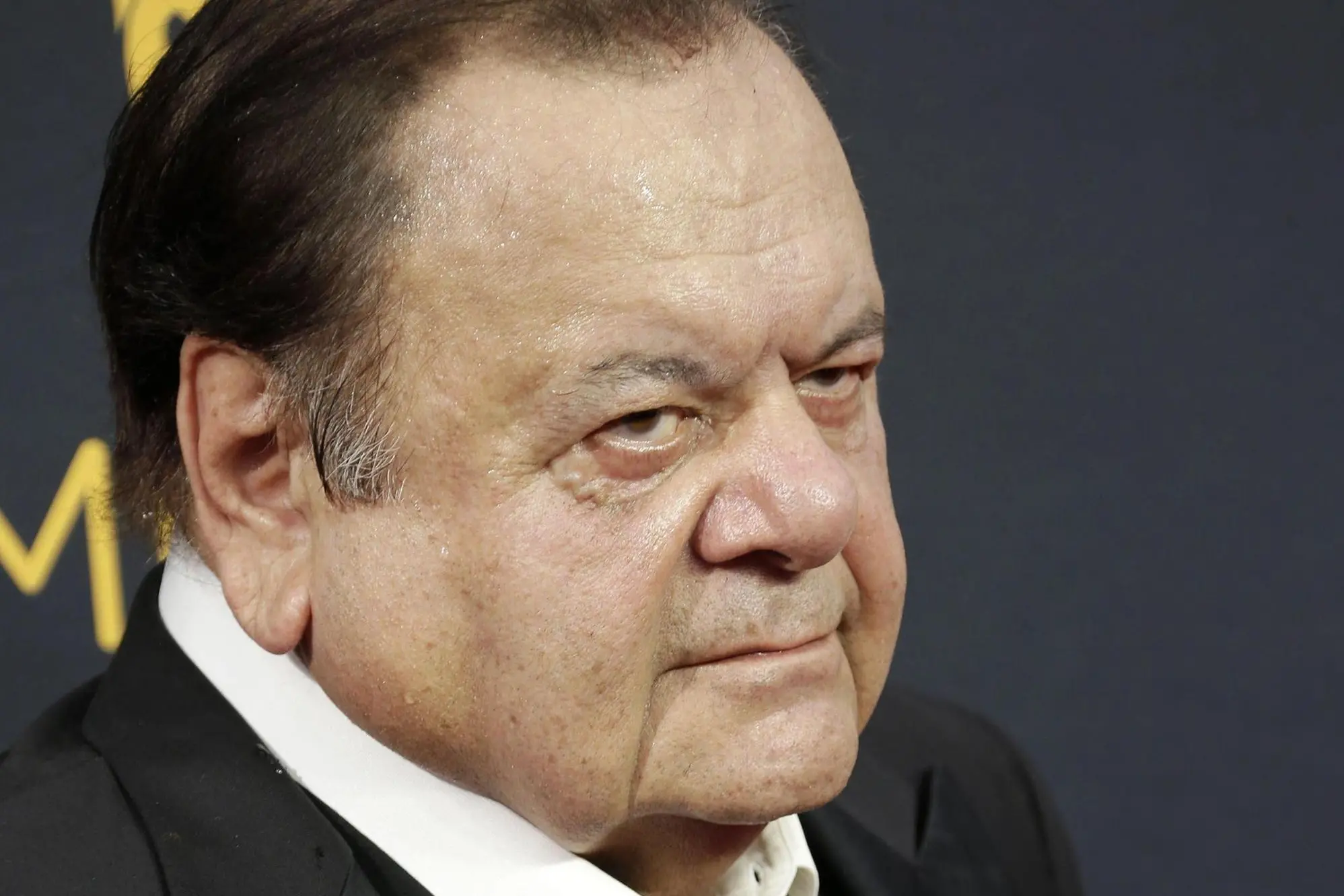Paul Sorvino (Ansa)
