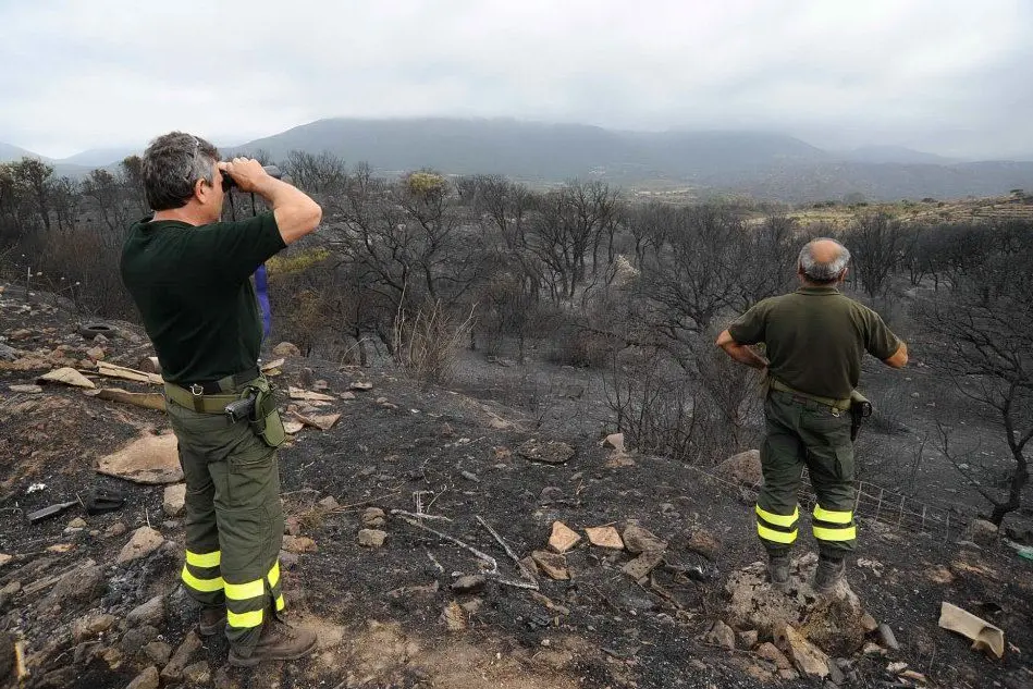 Uomini della Forestale osservano i danni provocati dell'incendio
