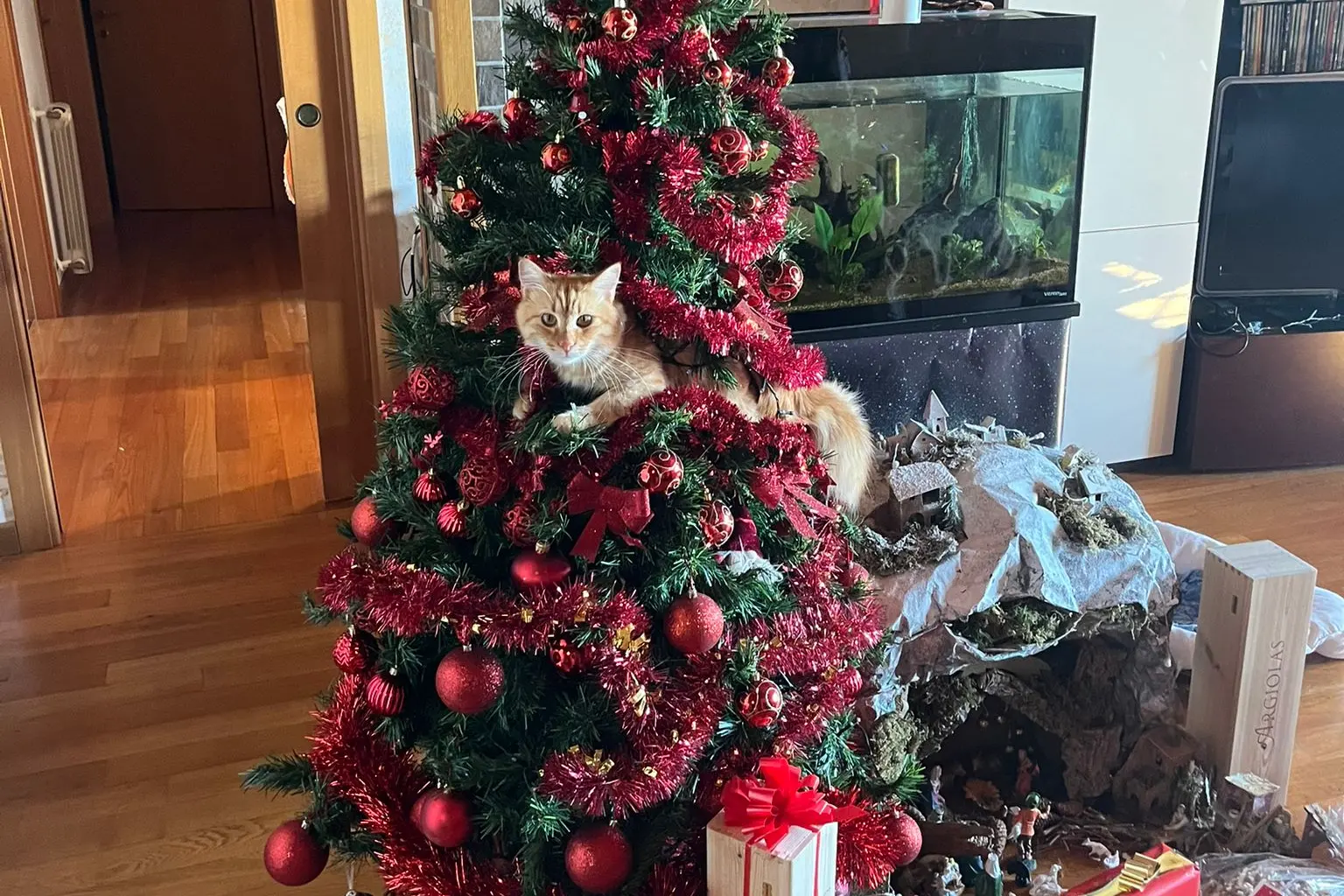 Auguri da Loredana