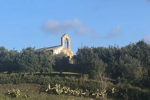 Il parco di Santa Mariedda (foto Sirigu)