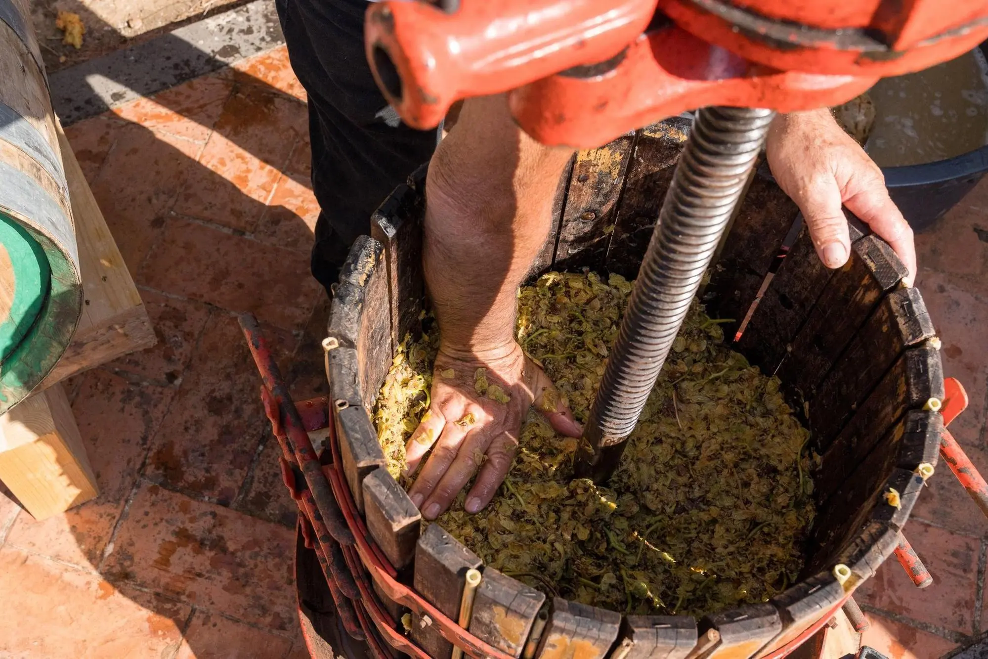 La vendemmia (foto concessa)