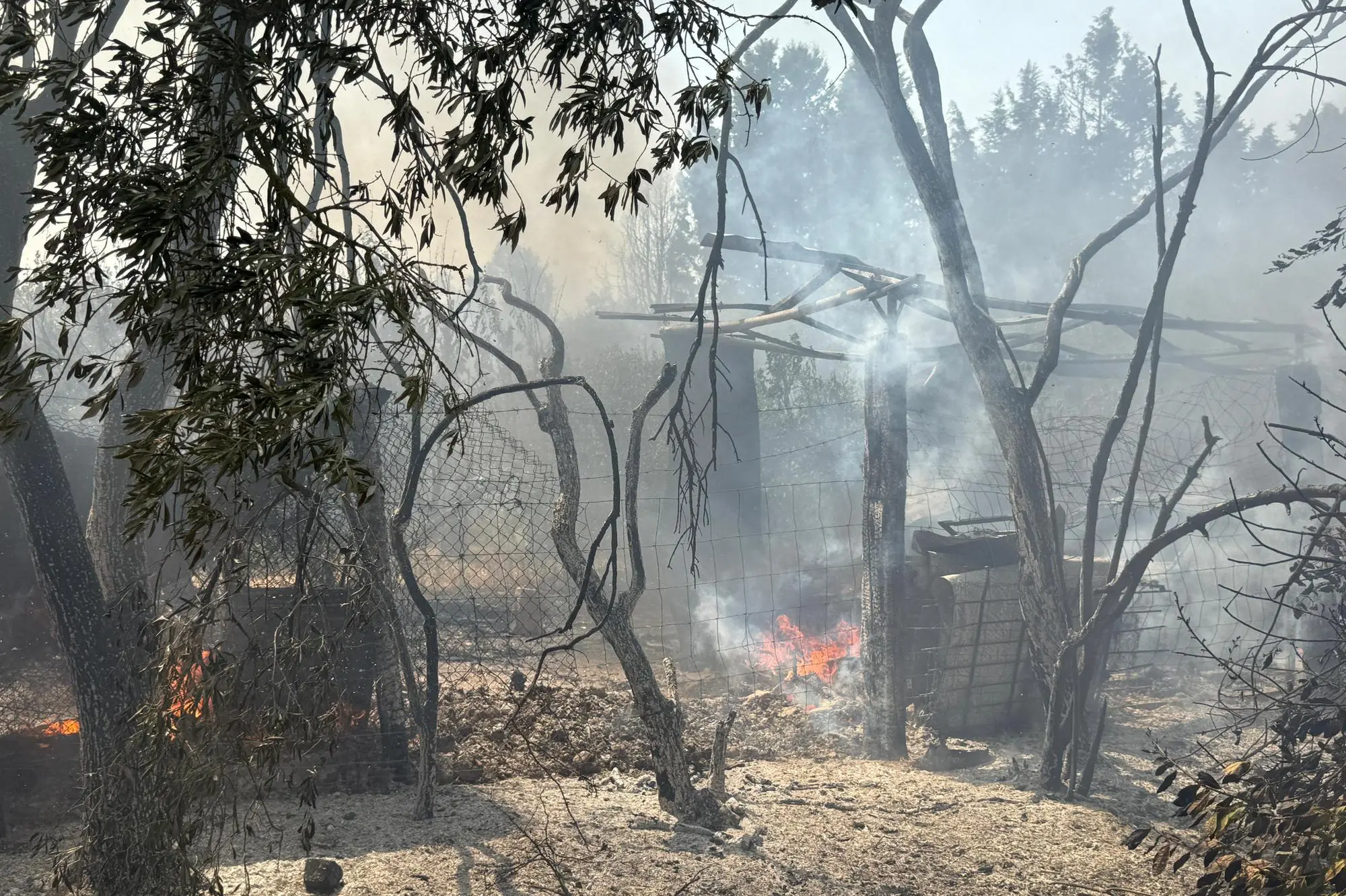 L'incendio a Villacidro (foto Gigi Deidda)