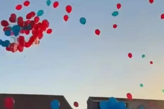 I palloncini lanciati da un villaggio turistico (foto concessa)