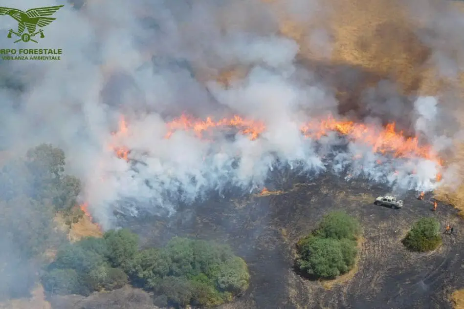 Un recente incendio sul Monte Arcedda a Siliqua