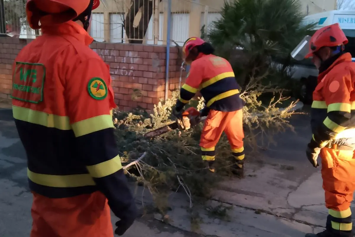 Uno dei tanti interventi per alberi e rami caduti a Burcei