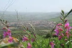 Panorama di Villaurbana