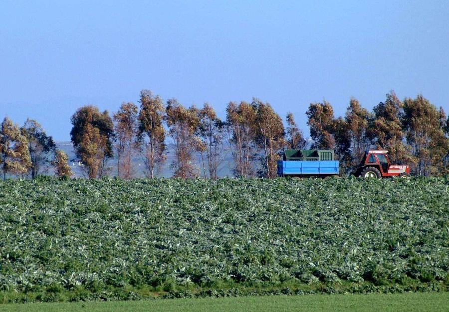 «Pagamenti Pac, non c’è tempo da perdere»