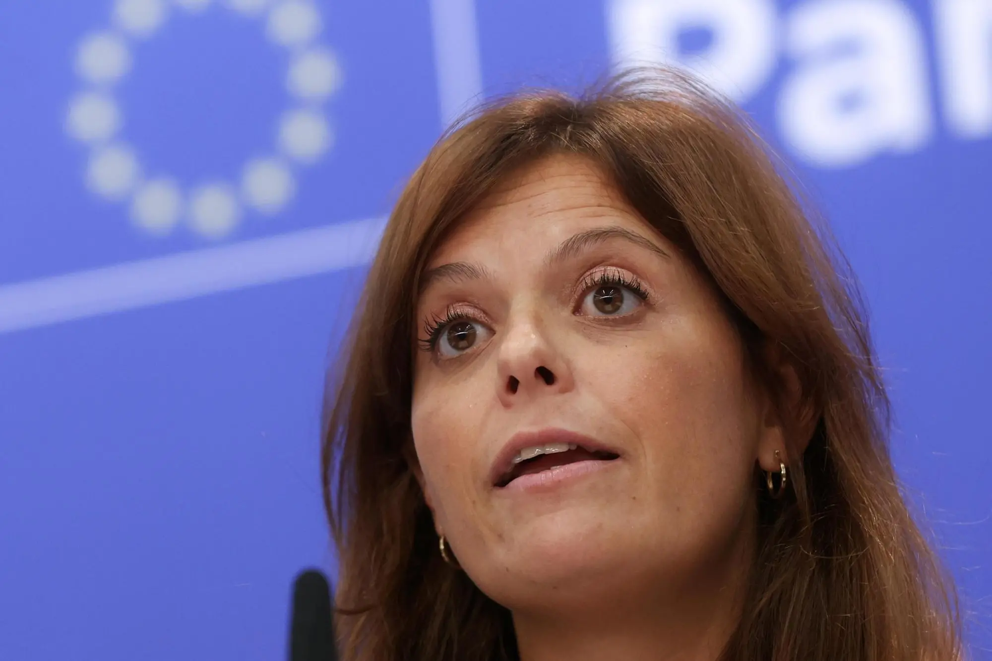 Ilaria Salis (Ansa-Epa)