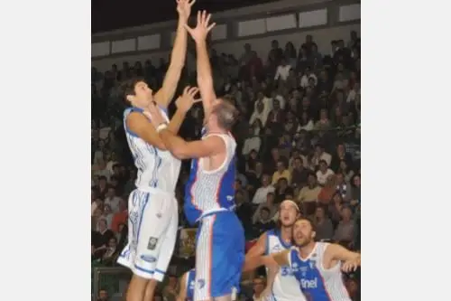 Sassari torna alla vittoria contro Brindisi (Gloria Calvi)