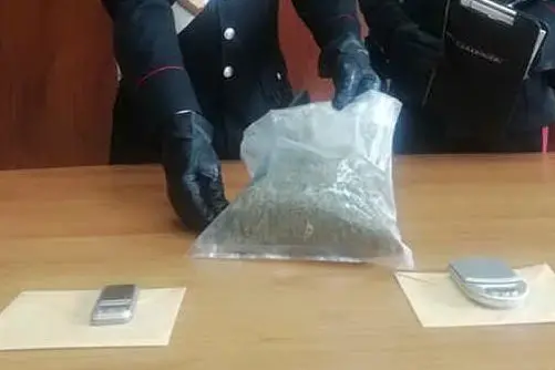 La marijuana sequestrata (Foto Carabinieri)